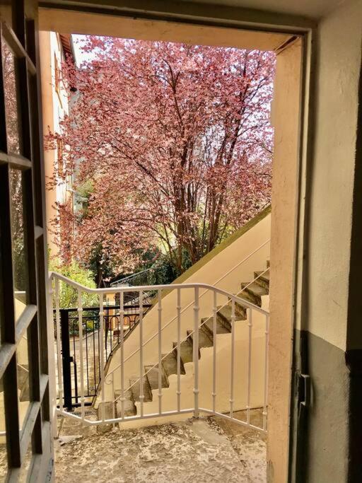 Joli Climatise Avec Terrasse - Centre Apartment